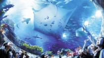 Skip the Line: Ocean Park Hong Kong Admission: is a must-do for every first-time visitor to the city