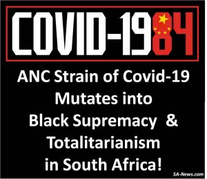 SA covid 19 mutates